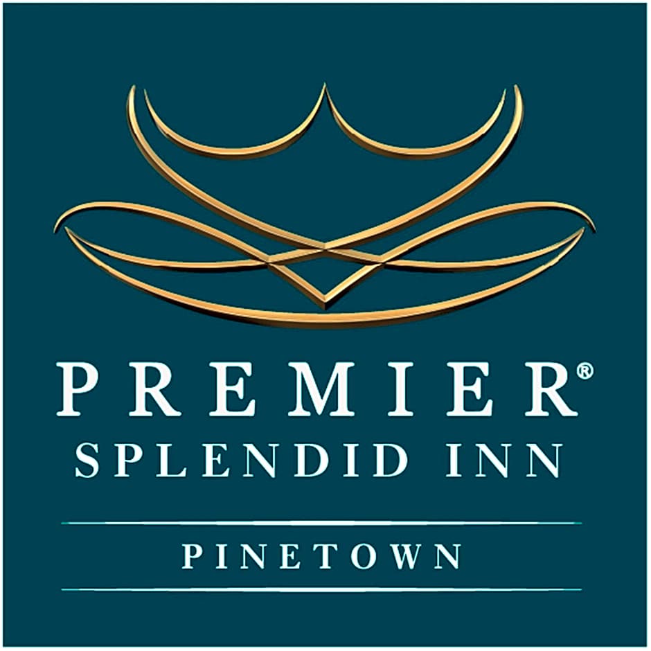 Premier Splendid Inn Pinetown