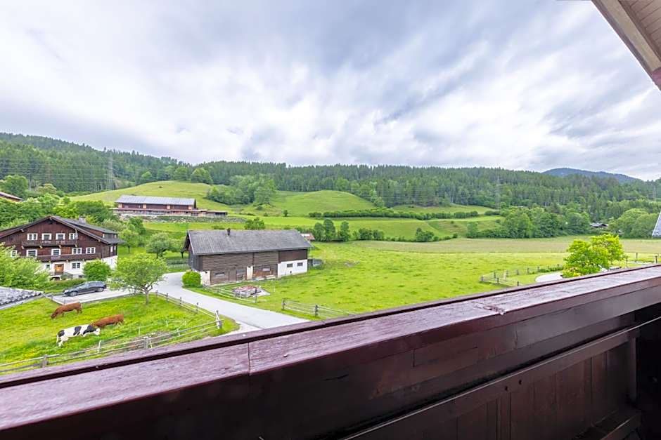 ApartHotel Holzerhof