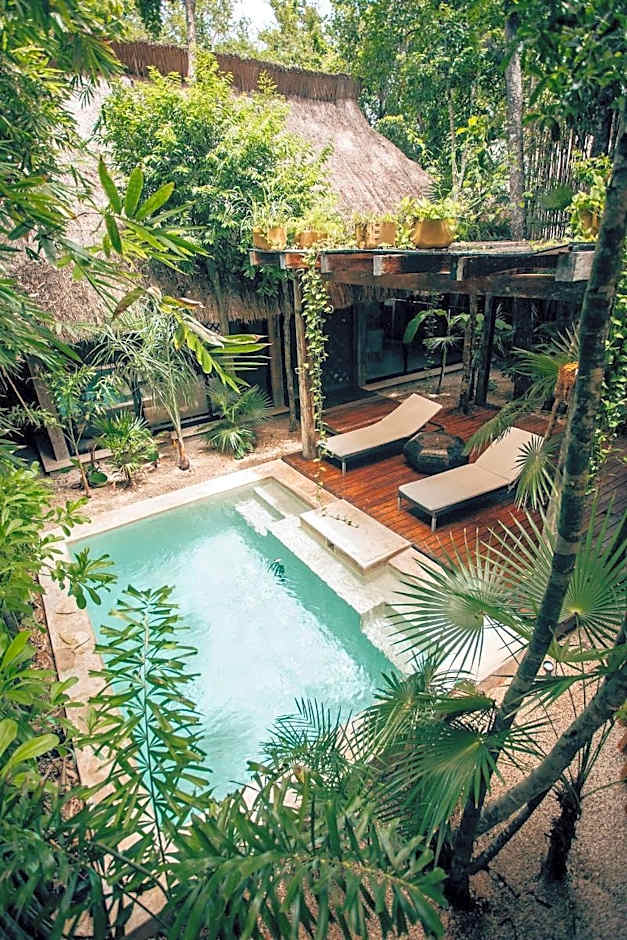 Orchid House Tulum Jungle