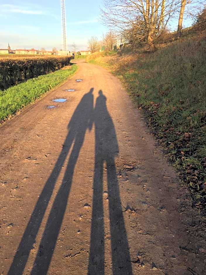 Hanzestadslogement "De Leeuw", logies in het centrum van Deventer