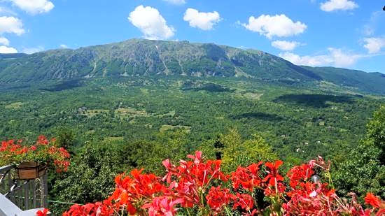 Hotel Arimannia