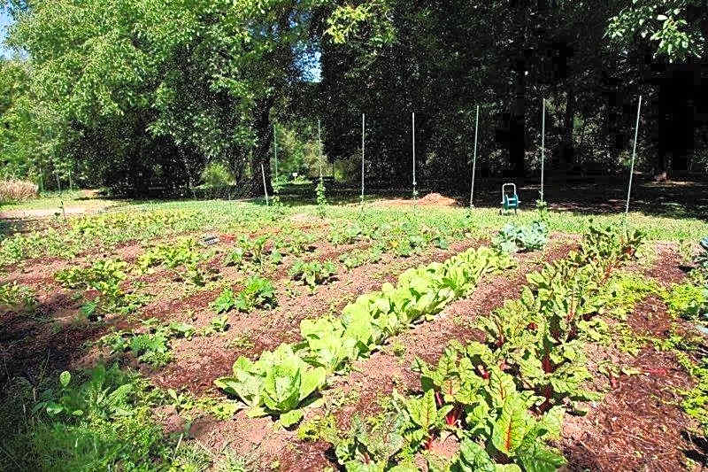 Restaurant Niedmühle Land & Genuss Hotel