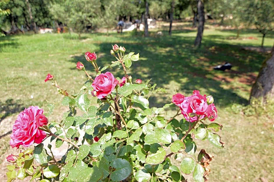 Hotel Natura Vilanija