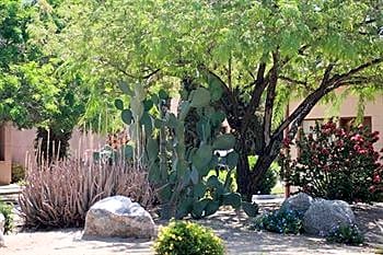 Arizona Christian University Hotel & Conference Center