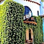 Colibri Hotel