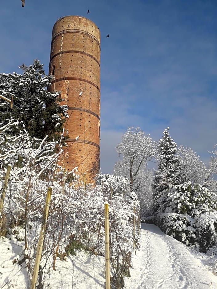 PocoBurro Ca' d'arte