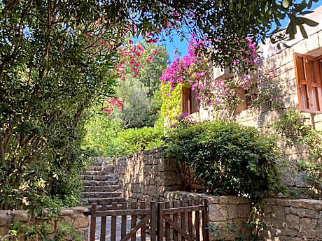 Domus Olivarum - Costa Smeralda 6 guest, 3 room, 2 bathroom, 2 parking Wifi