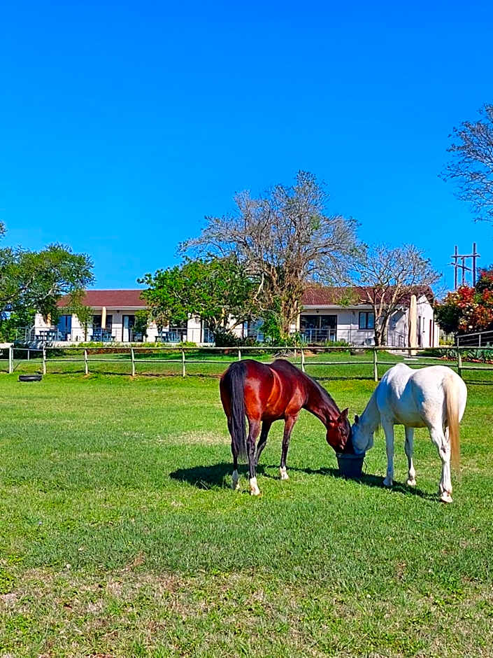 Equestre BnB