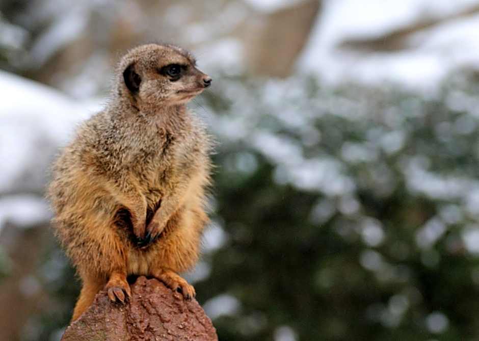 Travel24 Hotel Leipzig City