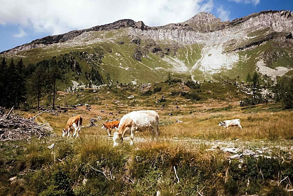 Stelza Nature Chalet