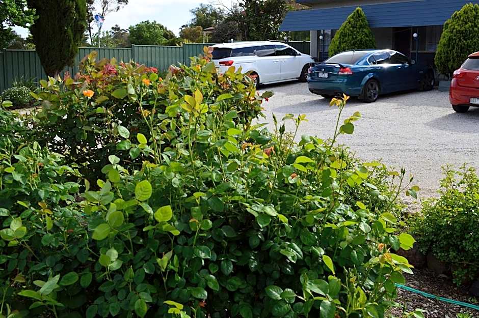 Wattle Grove Motel Maryborough