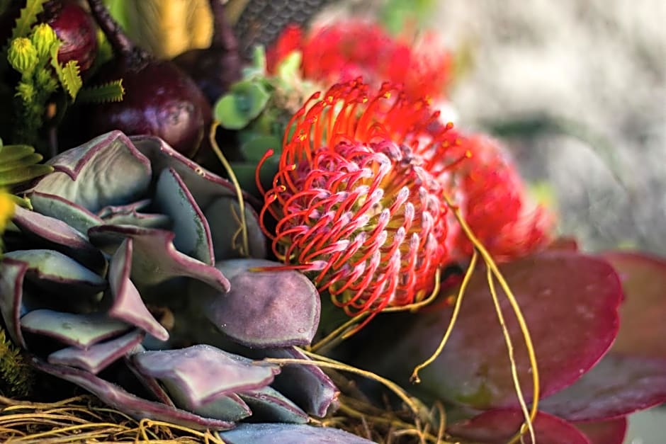 De Zeekoe Guest Farm