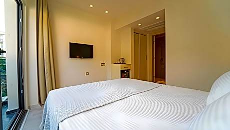 Double Room with Mountain View