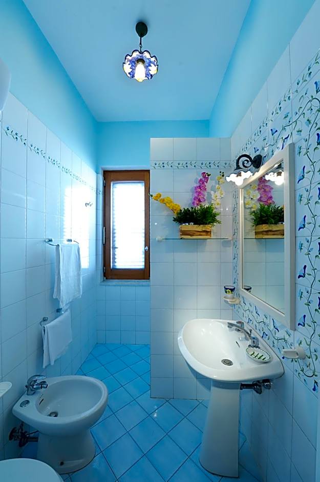 Il Giardino Dei Limoni