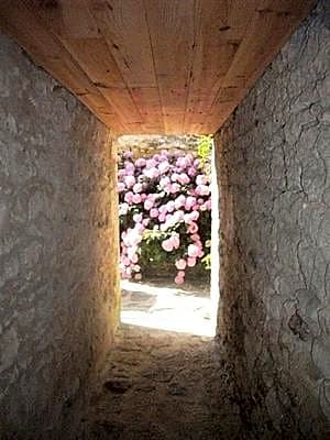 Chambre d'hôtes chez Denis et Margot