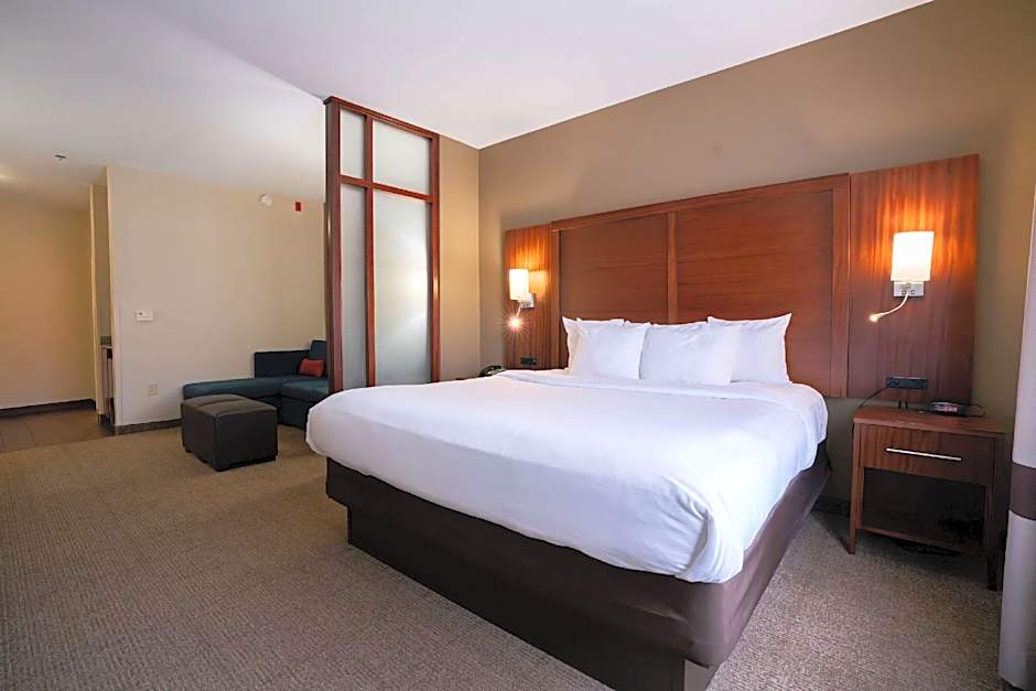 Comfort Suites Flowood - Jackson Airport (must meet transportation requirement)