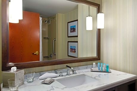 1 King 1 Bedroom Presidental Suite