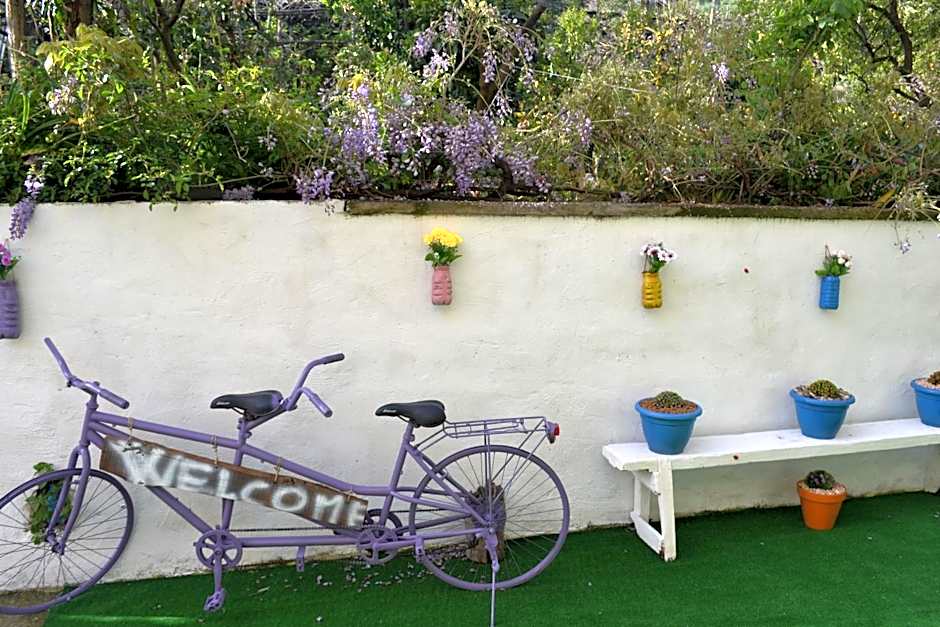 Sorrento Experience