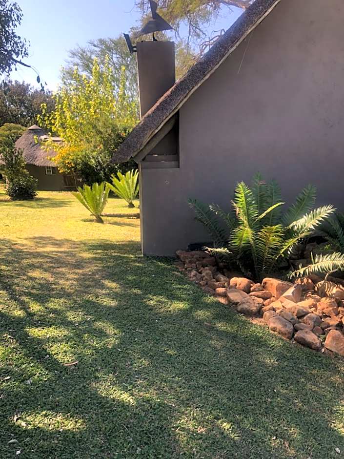 Jock of the Bushveld