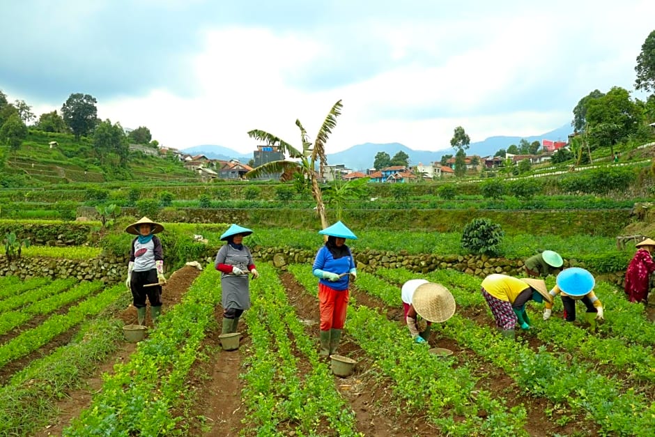 OYO Homes 90991 Eco Tourism Desa Panundaan Ciwidey 2 Syariah