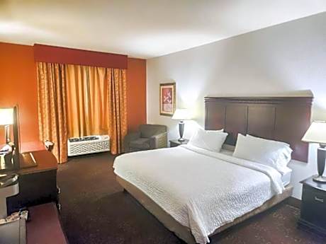 1 King Bed, Suite, Nonsmoking, Accessible