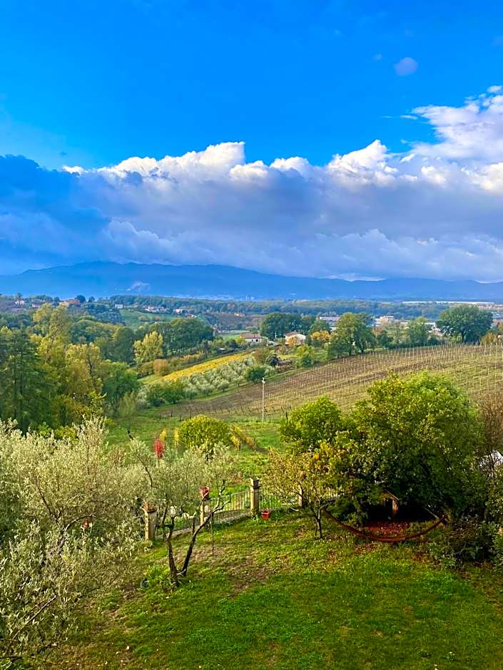 Donna Vittori - Borgo Agricolo