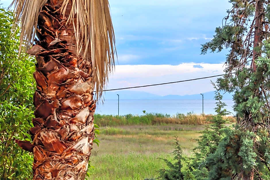 Calma Luxury Apartments #3 Sozopoli in Halkidiki