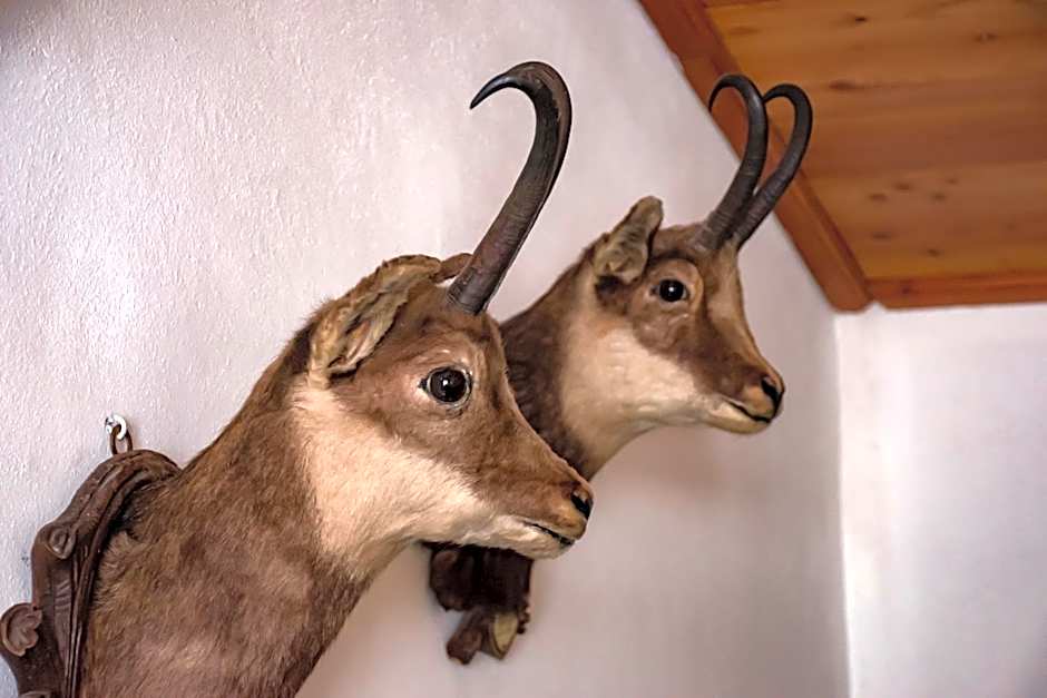 Hotel La Villa della Regina