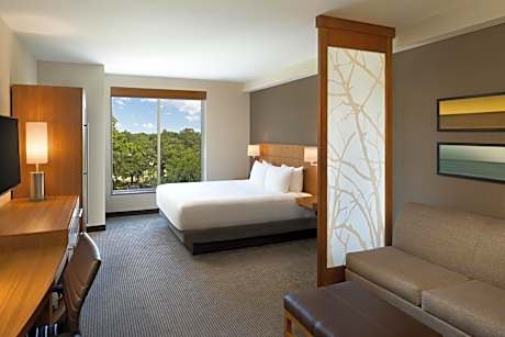 King Room with Sofa Bed