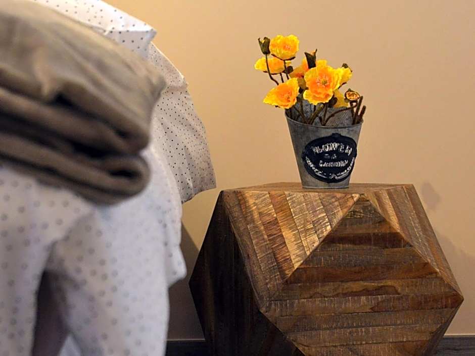 Le MOULIN des CHARTREUX - 1733