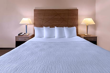 1 King Bed Mobility/Hearing Accessible Room Roll-In Shower Non-Smoking