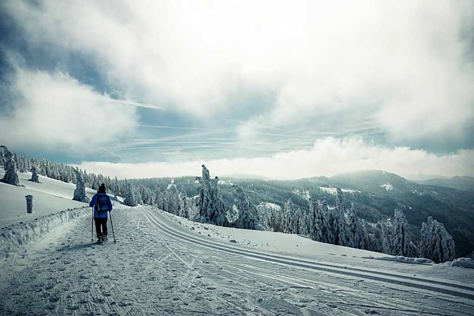 Forsters Schwarzwald Hof - Resort-Hotel&Pension