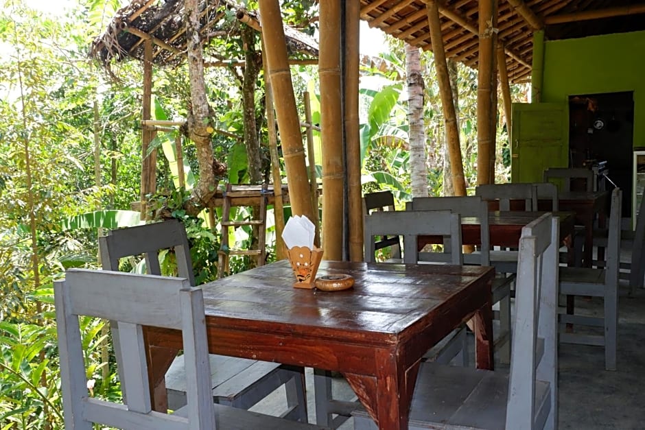Padi Bali Jatiluwih