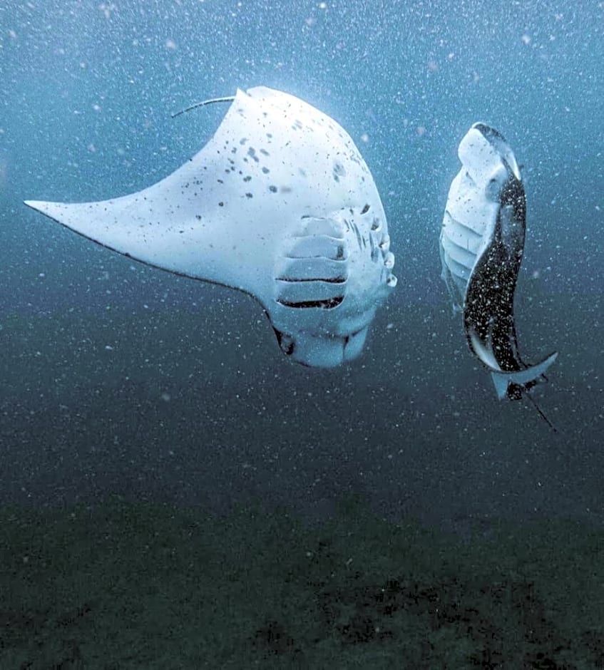 Raalhu Fonu Maldives