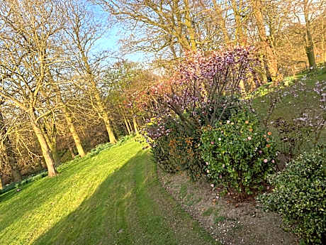 Double or Twin Room with Garden View