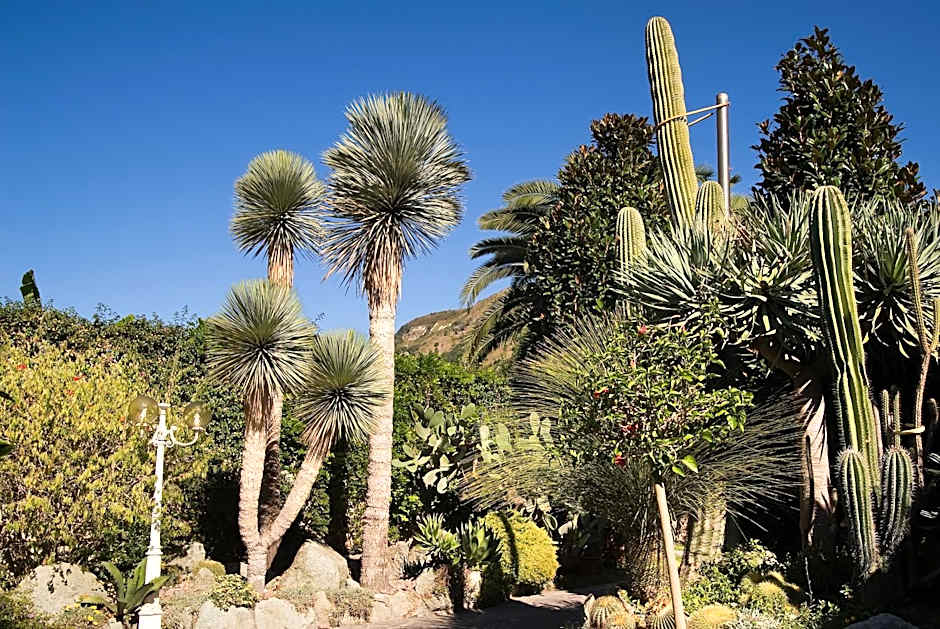 Park Hotel Terme Mediterraneo