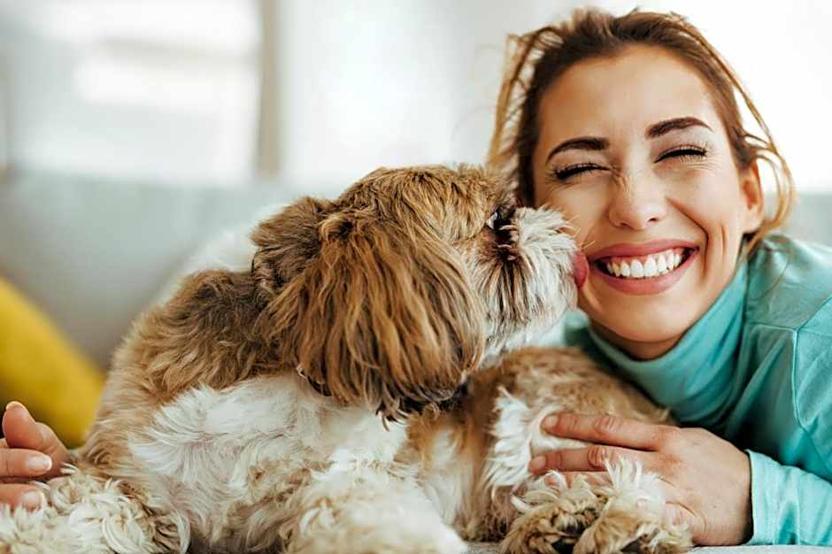 Révész Hotel, Restaurant and Rosa Spa