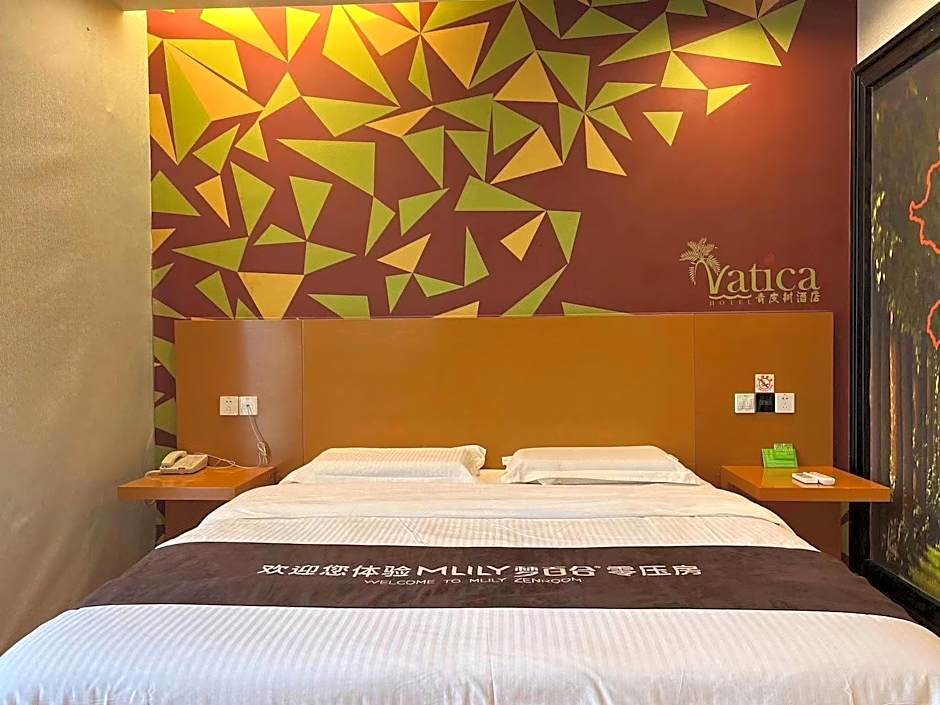 Vatica Jieshou City New Passenger Transport Center Hotel