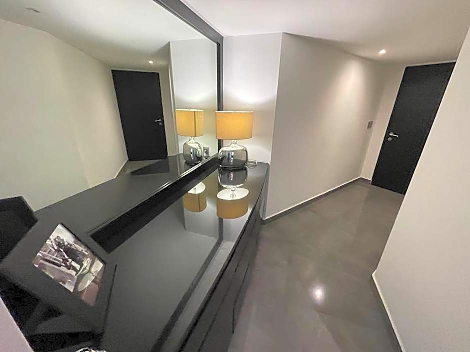 Departamento Zona Hotelera Polanco