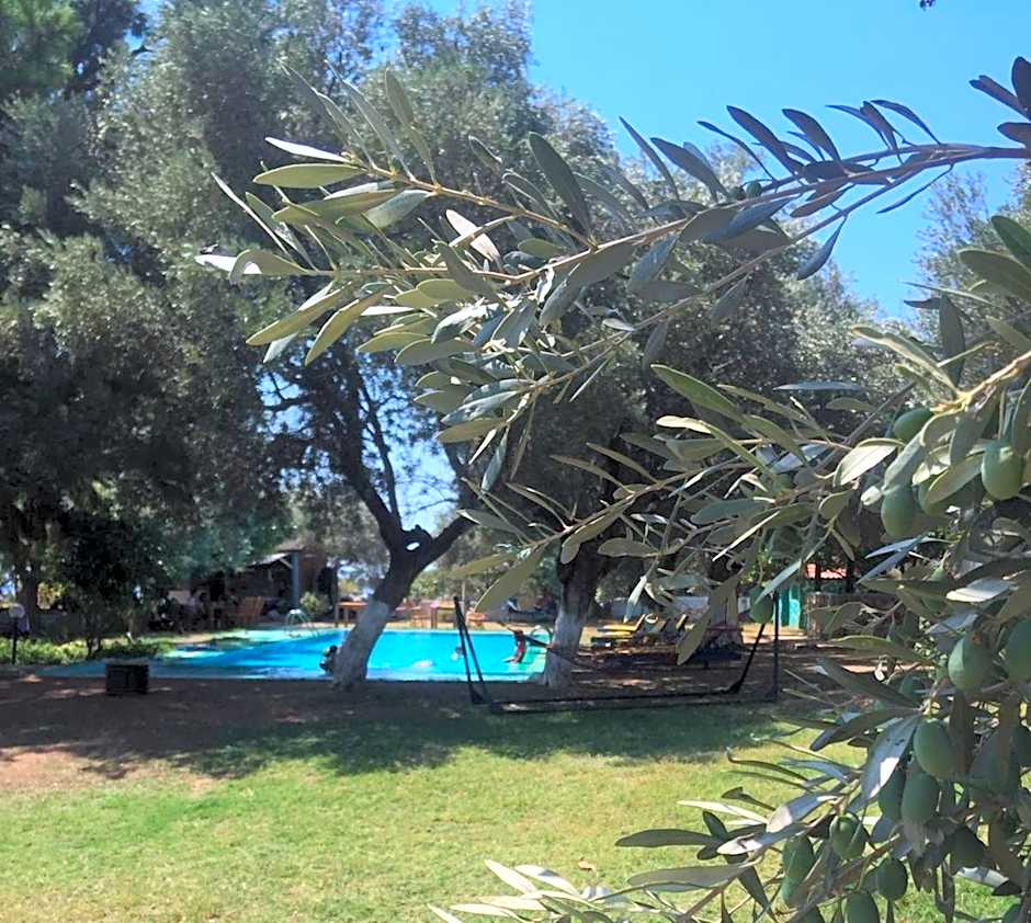 Bahar Bahce Datca