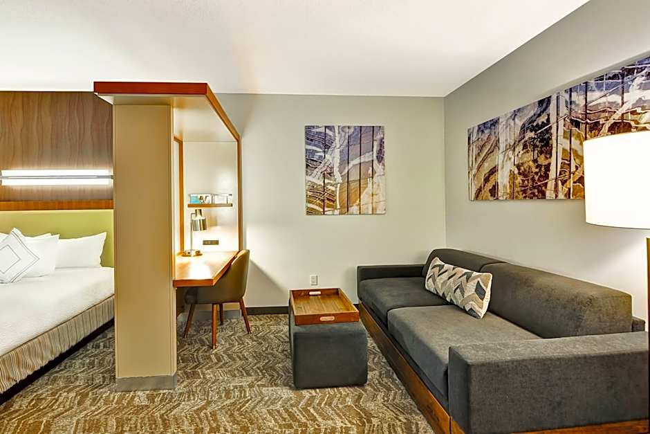 SpringHill Suites By Marriott Columbia Fort Meade Area