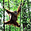 Gino's Place - Guest House & Jungle Trekking