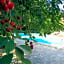 Hotel Kalehan