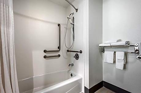 1 Queen Bed Nonsmoking Accessible