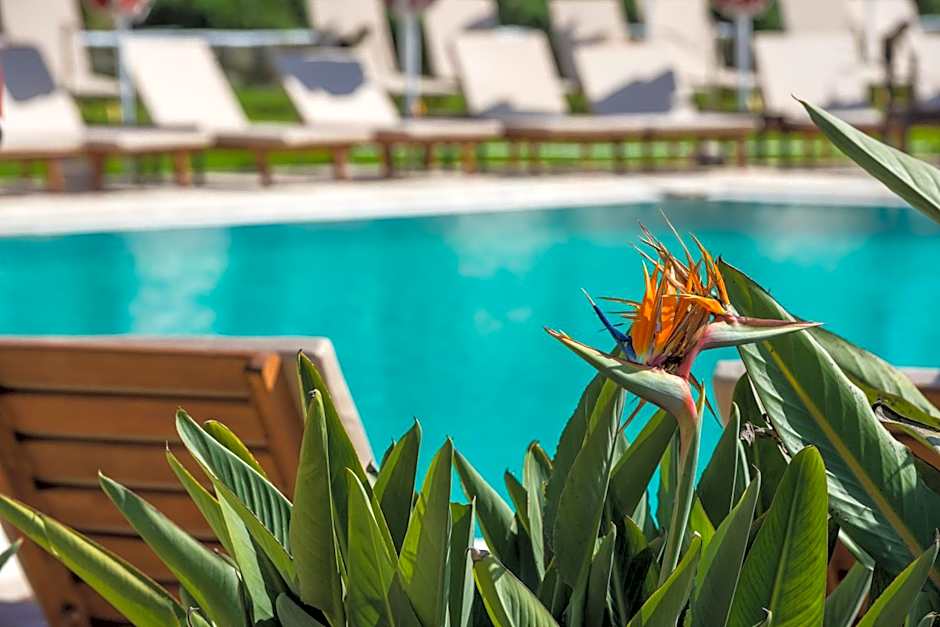 Bitzaro Grande Hotel & Suites