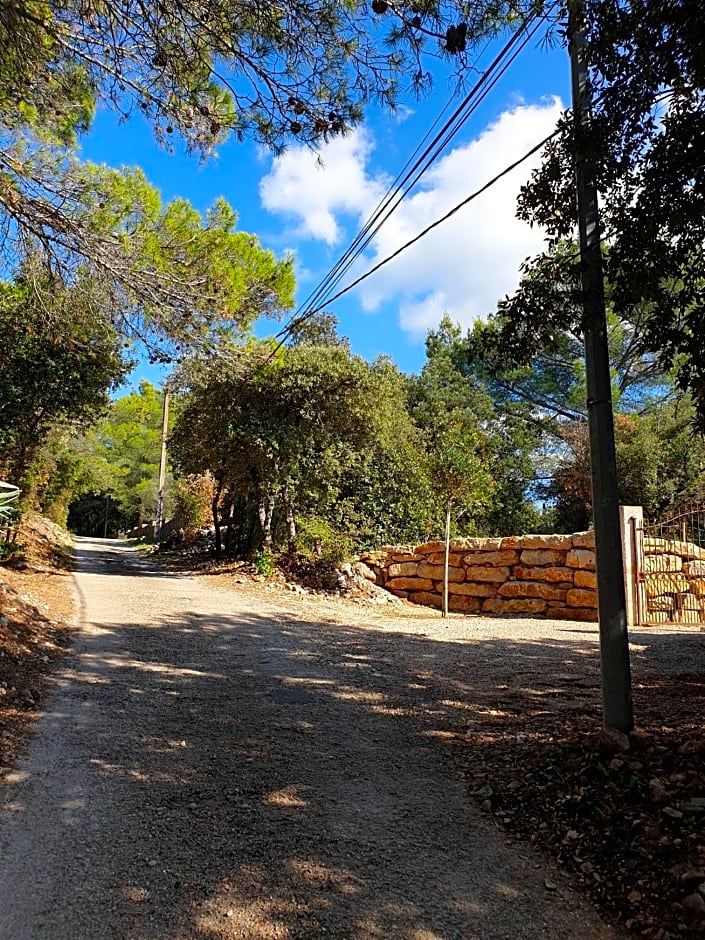 Le Petit Coin de Paradis