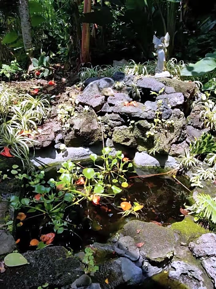Volcano Forest Inn