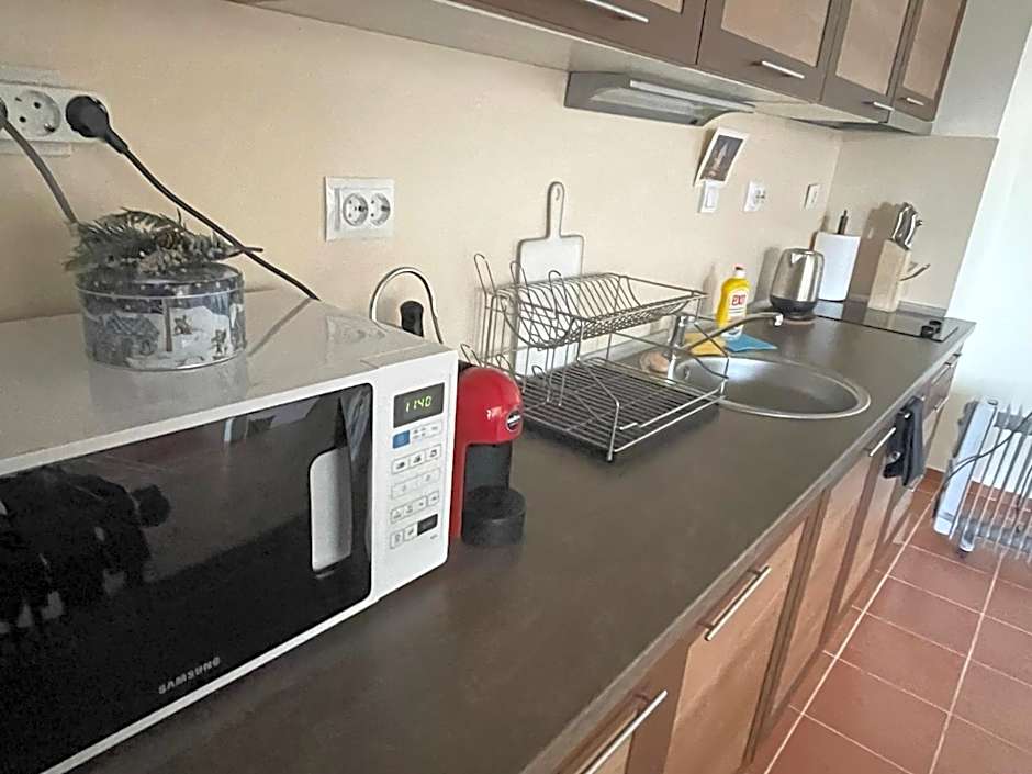 Cozy Mountain Apartment