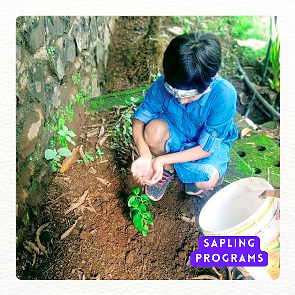 Dew Drops Boutique Retreat