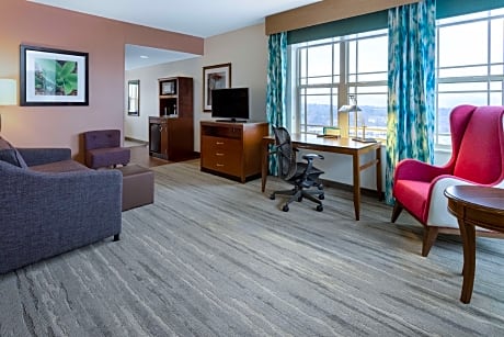 1 King Accessible 1 Bedroom Suite Roll In Shower